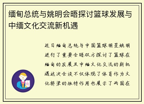 缅甸总统与姚明会晤探讨篮球发展与中缅文化交流新机遇